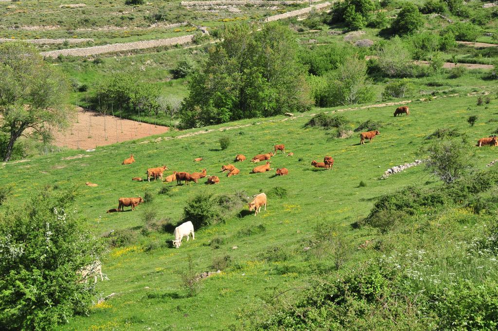 Bojar Casa Rural El Boixar - El Mirador المظهر الخارجي الصورة